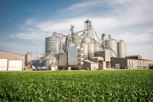 Corn Yield Calculator Planning Your Grain System Expansion